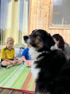 Chira im Einsatz. 