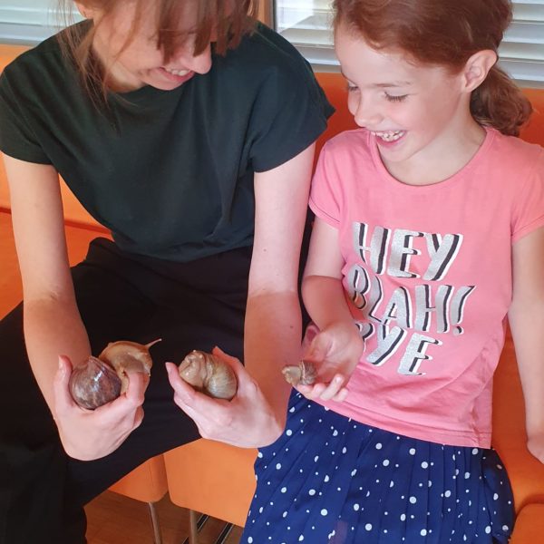 Achatschnecken im Einsatz